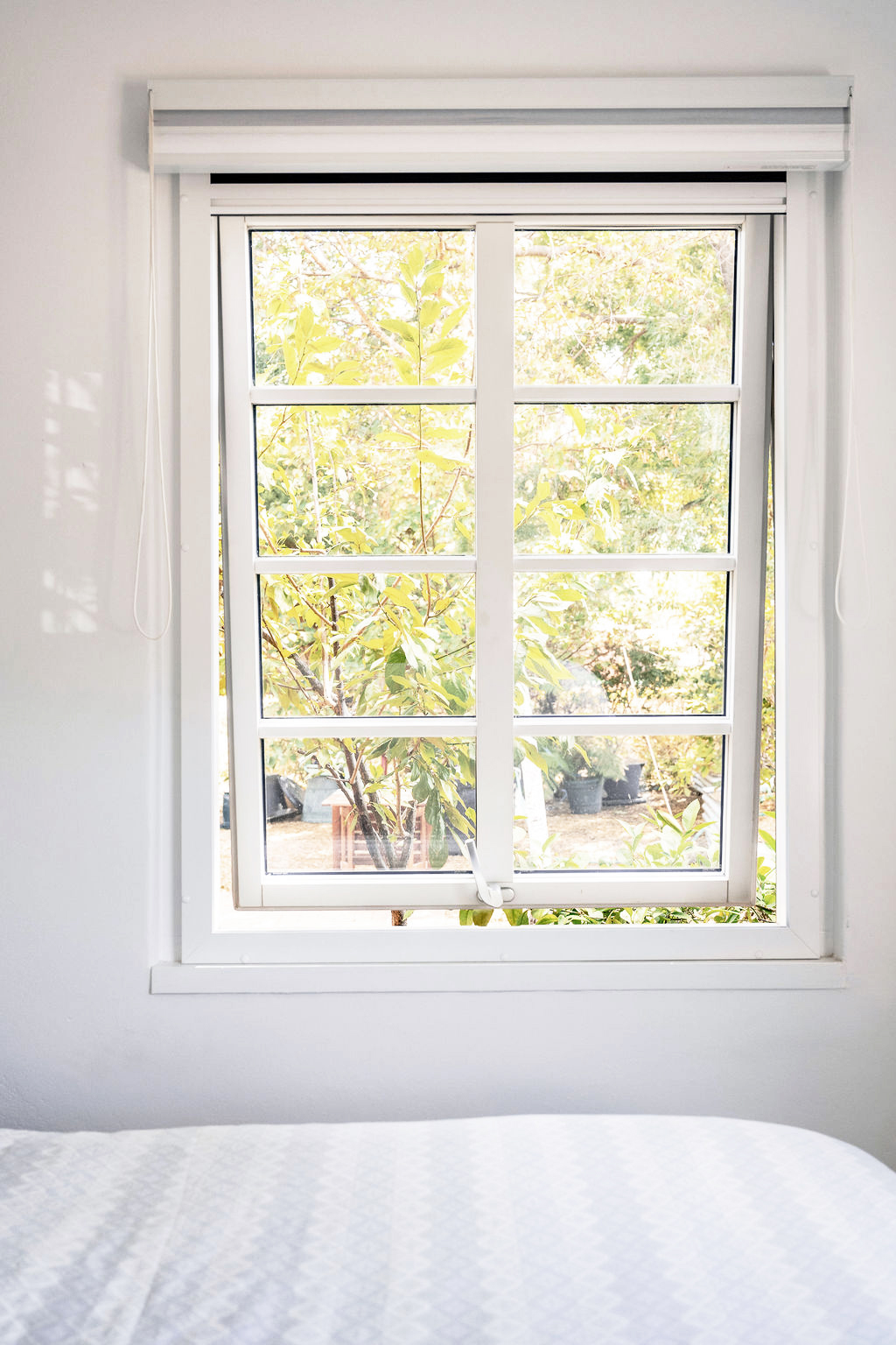 White-framed bedroom window overlooking leafy garden with soft natural light